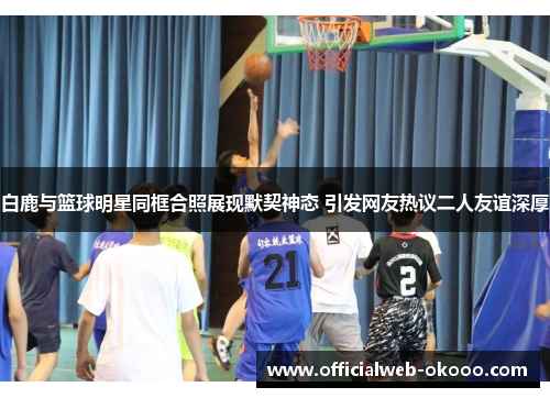 白鹿与篮球明星同框合照展现默契神态 引发网友热议二人友谊深厚