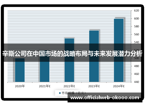 辛斯公司在中国市场的战略布局与未来发展潜力分析