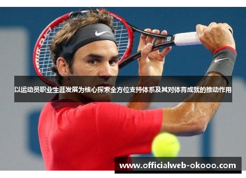 以运动员职业生涯发展为核心探索全方位支持体系及其对体育成就的推动作用