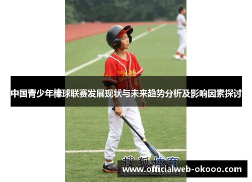 中国青少年棒球联赛发展现状与未来趋势分析及影响因素探讨