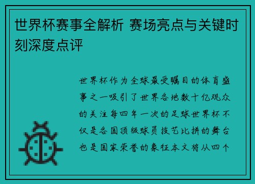世界杯赛事全解析 赛场亮点与关键时刻深度点评